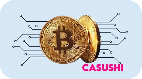 Casushi UK cryptocurrency deposit options and available crypto payment methods