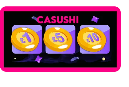 Casushi Online Casino deposit page showing available payment methods